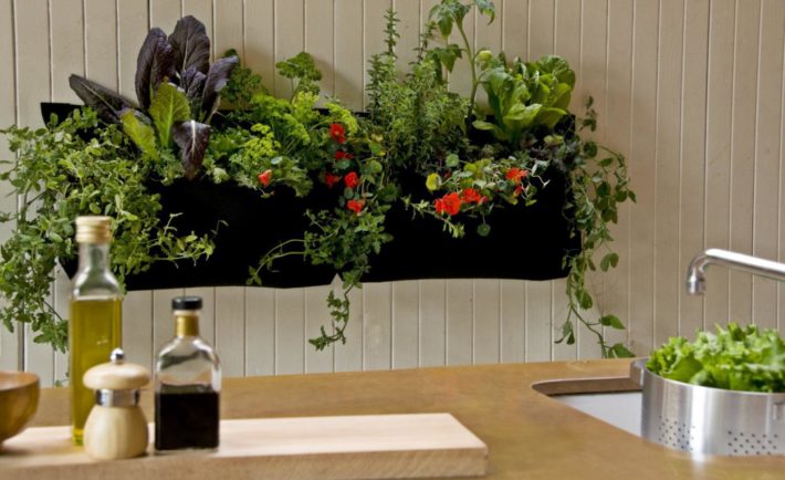How To Decorate With Plants Jarons Furniture Blog